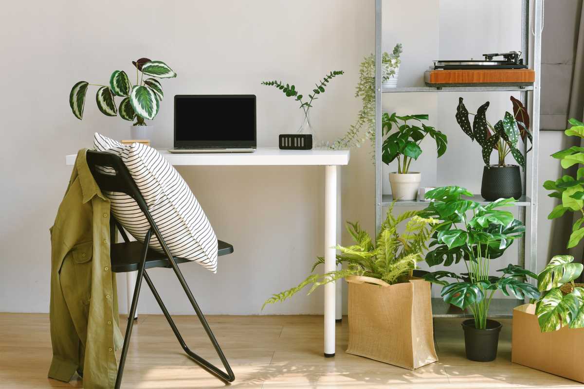 Design a Harmonious Living Space to Support Healthier Urban Living